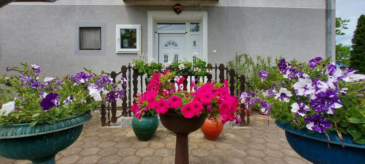 Guest House Dunavski Raj Kostol Εξωτερικό φωτογραφία