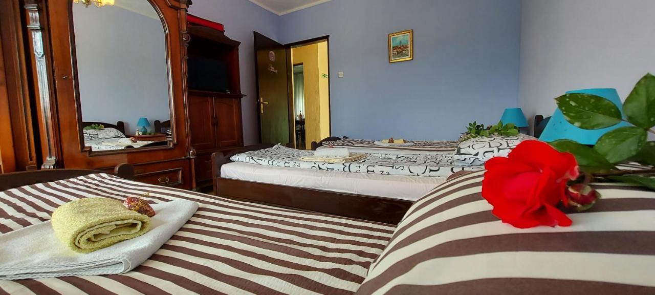 Guest House Dunavski Raj Kostol Εξωτερικό φωτογραφία