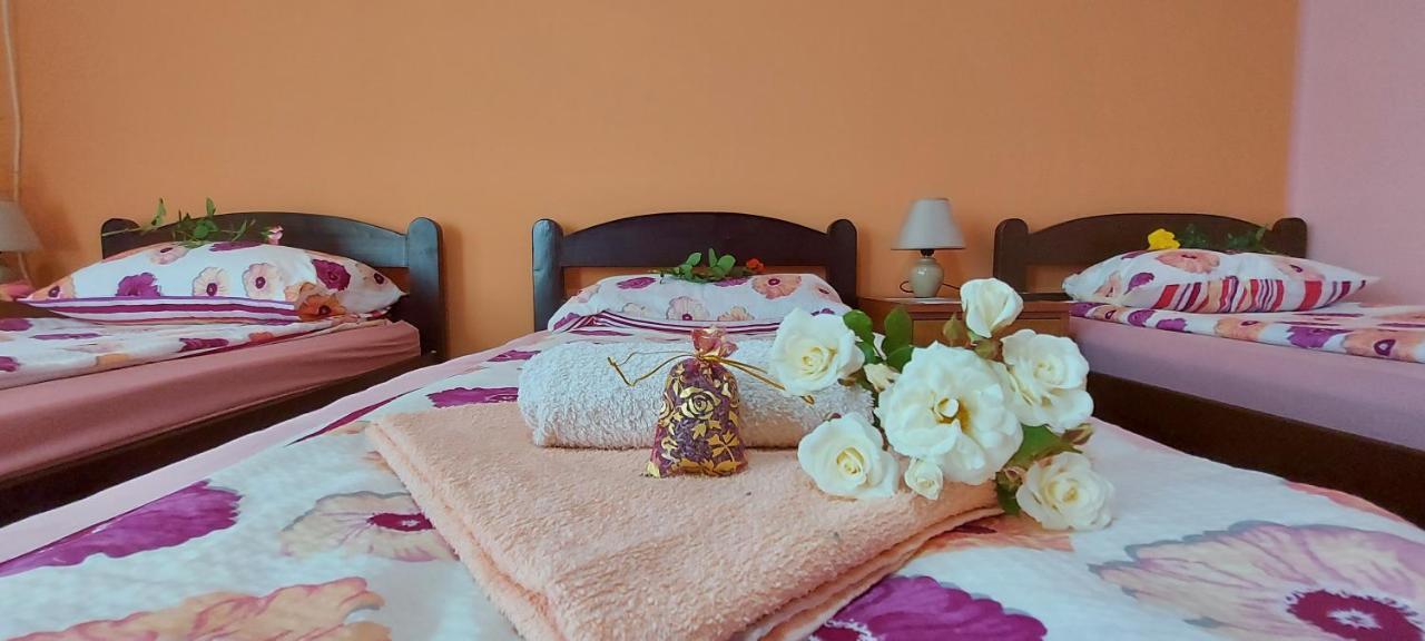 Guest House Dunavski Raj Kostol Εξωτερικό φωτογραφία
