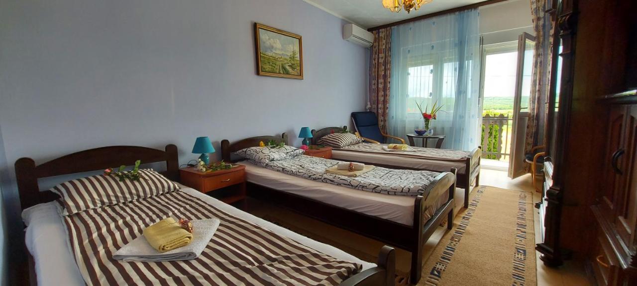 Guest House Dunavski Raj Kostol Εξωτερικό φωτογραφία