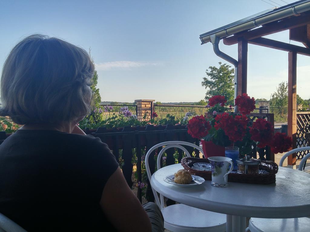 Guest House Dunavski Raj Kostol Εξωτερικό φωτογραφία
