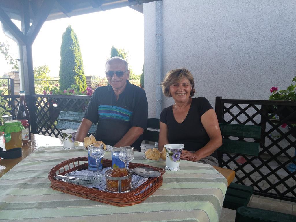 Guest House Dunavski Raj Kostol Εξωτερικό φωτογραφία