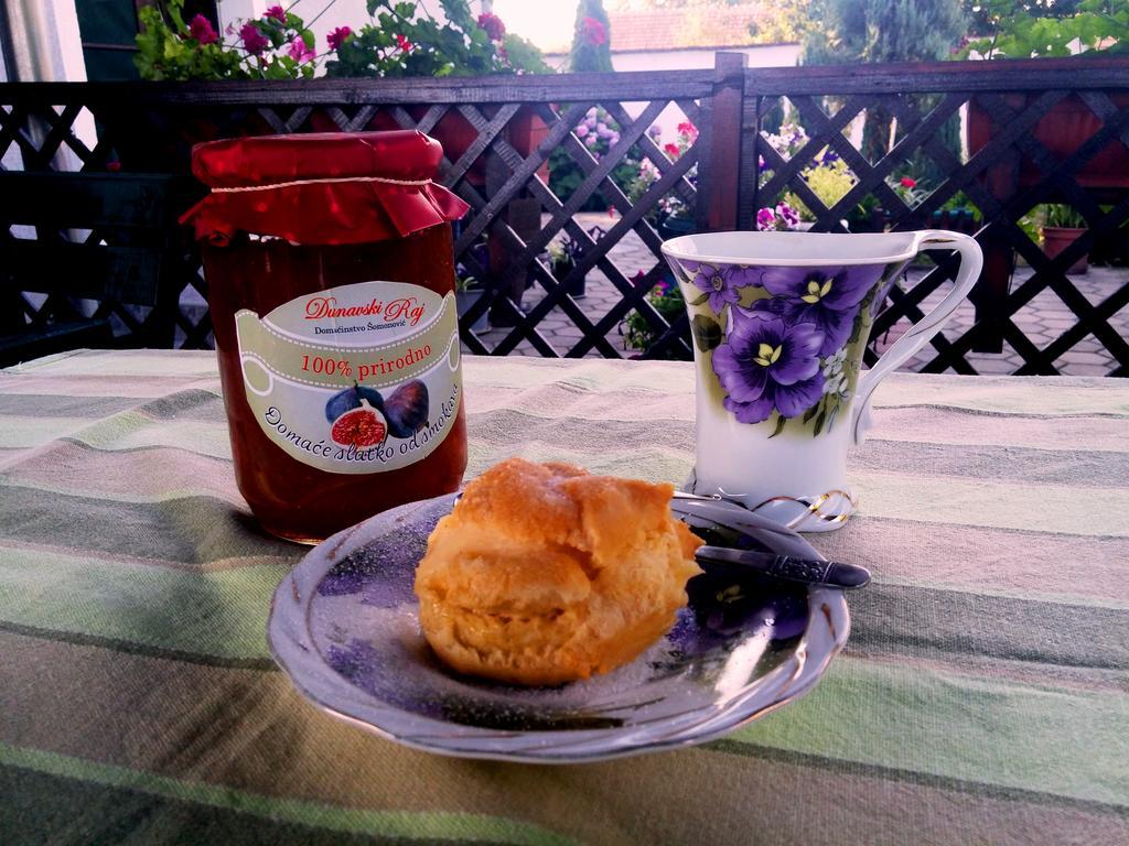 Guest House Dunavski Raj Kostol Εξωτερικό φωτογραφία