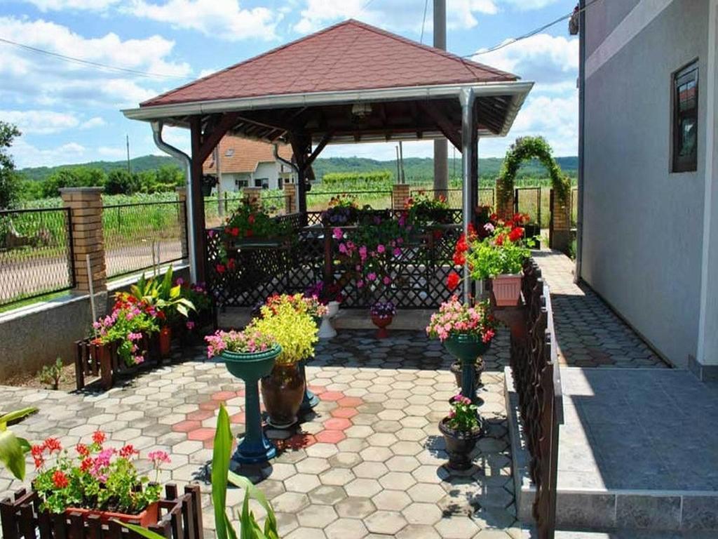 Guest House Dunavski Raj Kostol Εξωτερικό φωτογραφία