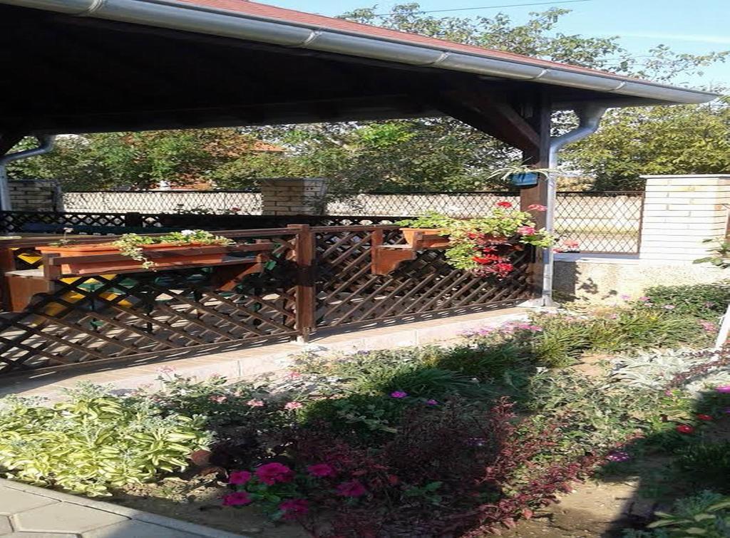 Guest House Dunavski Raj Kostol Εξωτερικό φωτογραφία